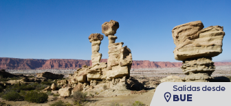 Valle de la Luna & Talampaya  